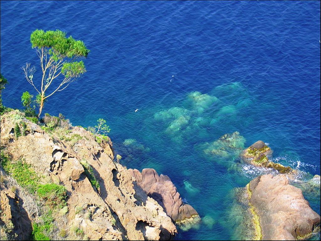Vacanceole - Les Calanques Du Parc Frejus Exterior photo